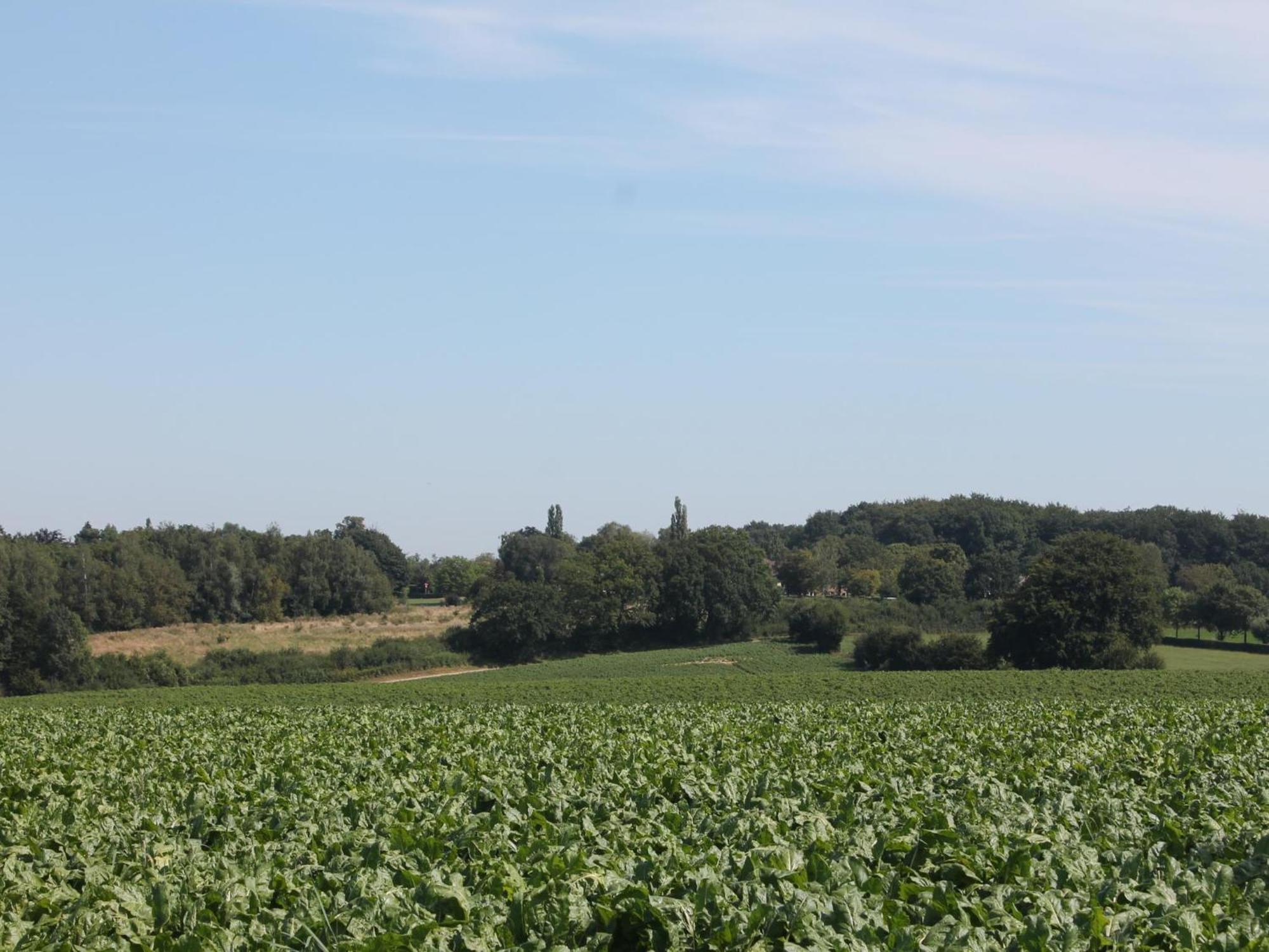 Landsraderhoefke - 4 Heijenrath Екстер'єр фото